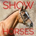 Sell your Saddle on Show Horses!