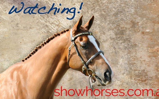 Watch Melbourne RASV Turnout Day with us!