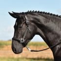 HEADCOLLAR COMFORT PRO, LEATHER