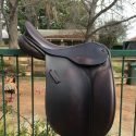 Windsor Esquire 15"