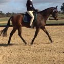 Little Mans Dreams ( Jordy) Child's Hack