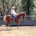 Rosebrae Red Rustler