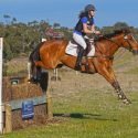 Eventer for sale