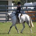SUPERSTAR ALLROUNDER PONY CLUB MOUNT