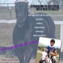 SELL YR HORSE OR PONY!