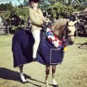 Yindarla Park Moonshine - Royal Winning Hunter Pony