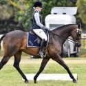 Parker- Quiet and reliable show hack.
