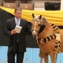 Pizzazz, Presence and PALOMINO!